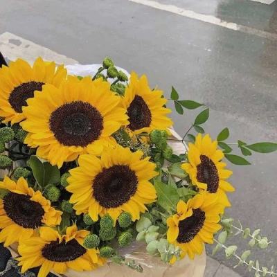 bob半岛平台下载